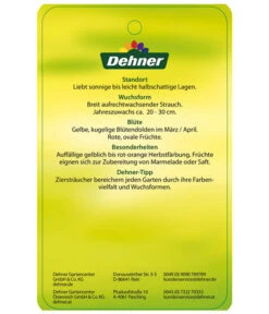Kornelkirsche - Cornus Mas 13 Kornelkirsche - Cornus Mas -Biohort || LECHUZA Verkaufsgeschäft KornelkirscheCornusmas Etikett 2