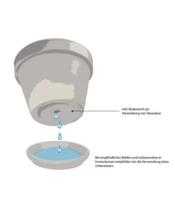 Climaqua Schiefer-Kasten Jardi, Rechteckig -Biohort || LECHUZA Verkaufsgeschäft WE IG 001 TopfMitBodenloch 2