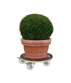 Wagner Pflanzroller MaxiGrip, Ø 38 Cm -Biohort || LECHUZA Verkaufsgeschäft X001545771 BildD 001 Multirollermaxi58