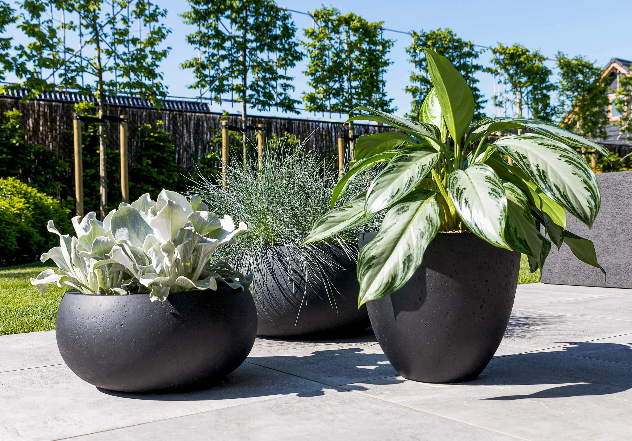 Titelseite 37 Titelseite -Biohort || LECHUZA Verkaufsgeschäft image