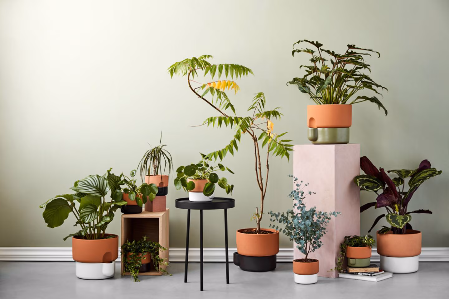 Titelseite 38 Titelseite -Biohort || LECHUZA Verkaufsgeschäft northern oasis geschenke jpg 69596